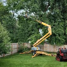 Best Tree and Shrub Care  in Kailua, HI